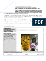 259297138-Proyecto-de-Investigacion-Plantas-medicinales-y-sus-poderes-curativos.docx