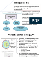 Lapkas Varicella