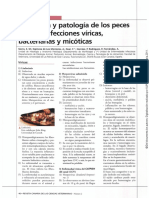 Histologia y Paologia de Los Peces