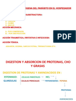 23. Sindrome de Mala Digestion y Absorcion