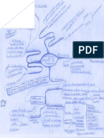 MapaM - T1 - Fuandamentos de Administracion de proyectos Nassir Sapag1.pdf