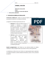 TEMA II. FUNCIÓN RENAL. MICCIÓN.doc