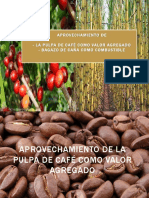 2018 Pulpa de Café y Bagazo de Caña