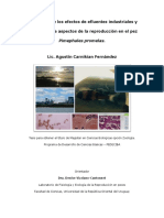 Fernandez 2016 - Efectos de Efluentes Industriales y Urbanos en Pimephales Promelas