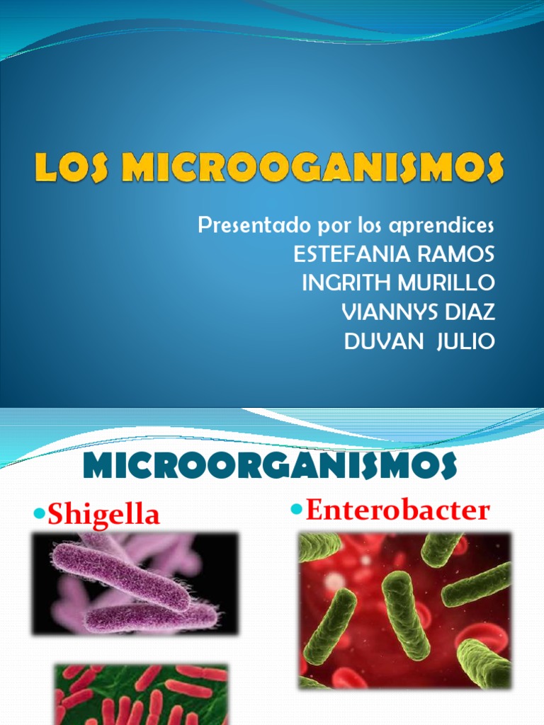 Diapositiva Microorganismos | PDF | Diarrea | Las bacterias