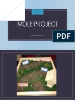 Mole Project