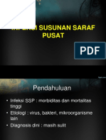 Infeksi SSP