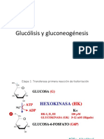 Glucolisis y Glucogeno