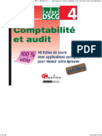 Carré DSCG 4 - Comptabilité Et Audit PDF