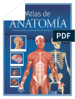 Anatomia y Ficiologia Adrian1