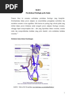 Download Resusitasi Neonatus Finish by epha SN38001902 doc pdf
