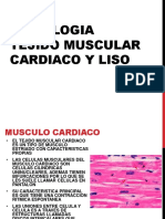 Histologia Tejido Muscular Cardiaco y Liso