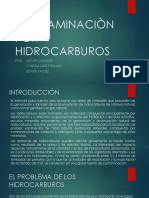 Contaminaciòn Por Hidrocarburos