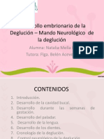 vdocuments.site_desarrollo-embrionario-de-la-deglucion-mando-neurologico.ppt