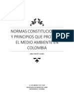 Normas Constitucionales y Principios Que Protegen El Medio Ambiente en Colombia