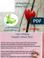 Pengobatan & Pencegahan Tifoid
