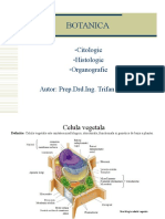 Celula vegetala - Info general