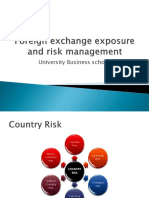 foreignexchangeexposureriskmannagement1-130815203035-phpapp02.pptx