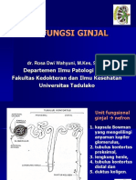 10 Pktes Fungsi Ginjal LFG Ureum Kreatinin