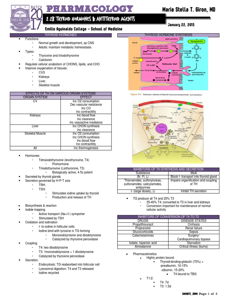 Thyroid Hormones and Antithyroid Agents | PDF | Thyroid | Hyperthyroidism