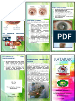 Leaflet Katarak