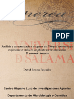 DMG Benito Pescador D Analisisycaracterizaciondegenes PDF