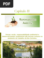 Resumos de Responsabilidade Social e Contabilidade Ambiental