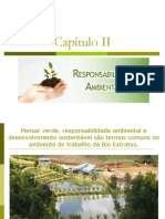 Resumos de Responsabilidade Social e Contabilidade Ambiental