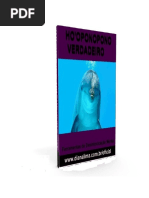 Hooponoponoverdadeiro