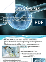 Transgenesis Pame