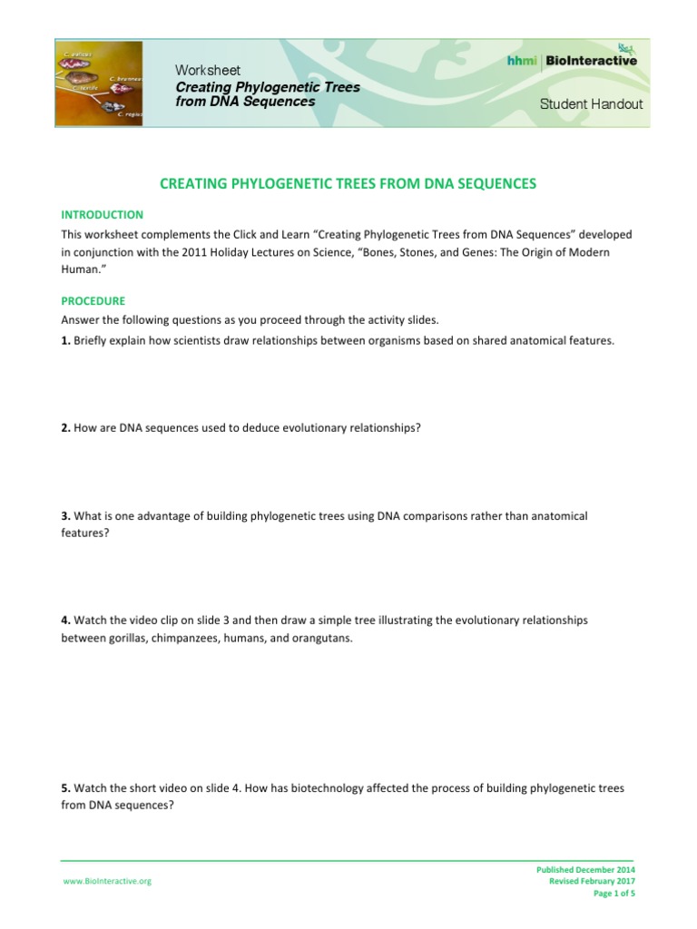 Phylogenetic Trees Click Learn Worksheet | PDF | Phylogenetic Tree