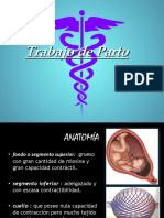 nomenclatura obstetrica clinicas