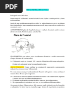 Análisis Facial en Ortodoncia | PDF | Cara | Ortodoncia
