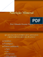 Aula 5 Nutrição Mineral