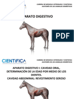 APARATO DIGESTIVO I Cavidad Oral Revestimiento Regiones.