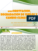Deforestacion Degradacion de Suelos y Cambio Climatico 11