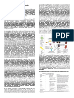 Lupus Eritematoso Generalizado