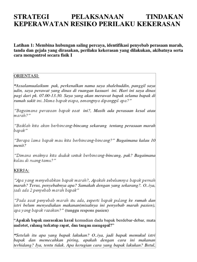 Strategi Pelaksanaan Tindakan Keperawatan Resiko Perilaku Pdf