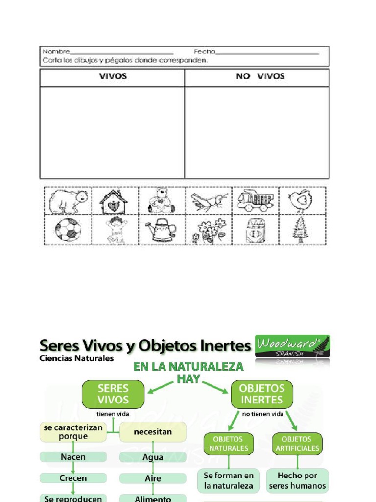Guia de Ciencias Naturales Clasificación de Los Seres Vivos