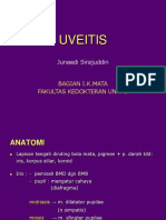 Uveitis