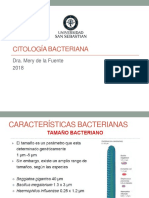 Clase 3. Citologia Bacteriana 2018 PDF