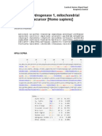 Proline Dehydrogenase 1, Mitochondrial Isoform 1 Precursor (Homo Sapiens)
