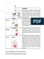 Tipos de Respiracion