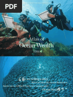 Atlas_of_Ocean_Wealth.pdf