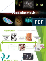 toxoplasmosis-170520175429