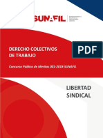 Derechos Colectivos