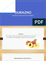 DURAZNO EXPOCISION.ppt