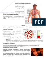Sistema cardiovascular.doc