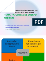 21 Patologia Utero