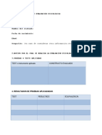 Formato de Informe  - 003